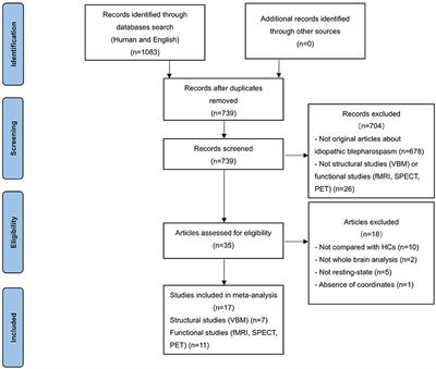 Gray Matter Structural and Functional Alterations in Idiopathic Blepharospasm: A Multimodal Meta-Analysis of VBM and Functional Neuroimaging Studies